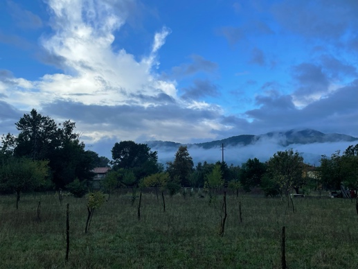 Mountains and sky with trees