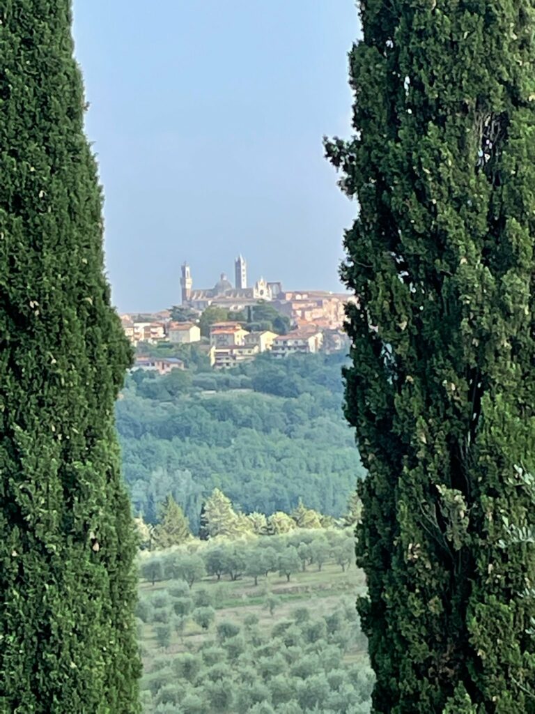 Trees and hills. Sienna.