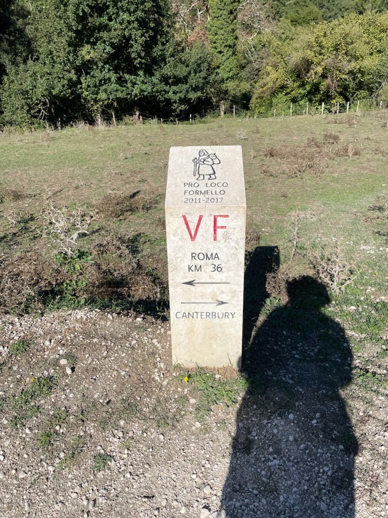 VF Roma and Canterbury sign in grass with shadow. 